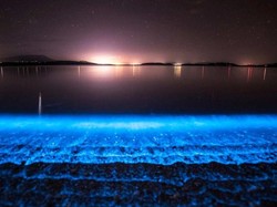 Ajaib! Wisata Malam ke 4 Pantai Bercahaya
