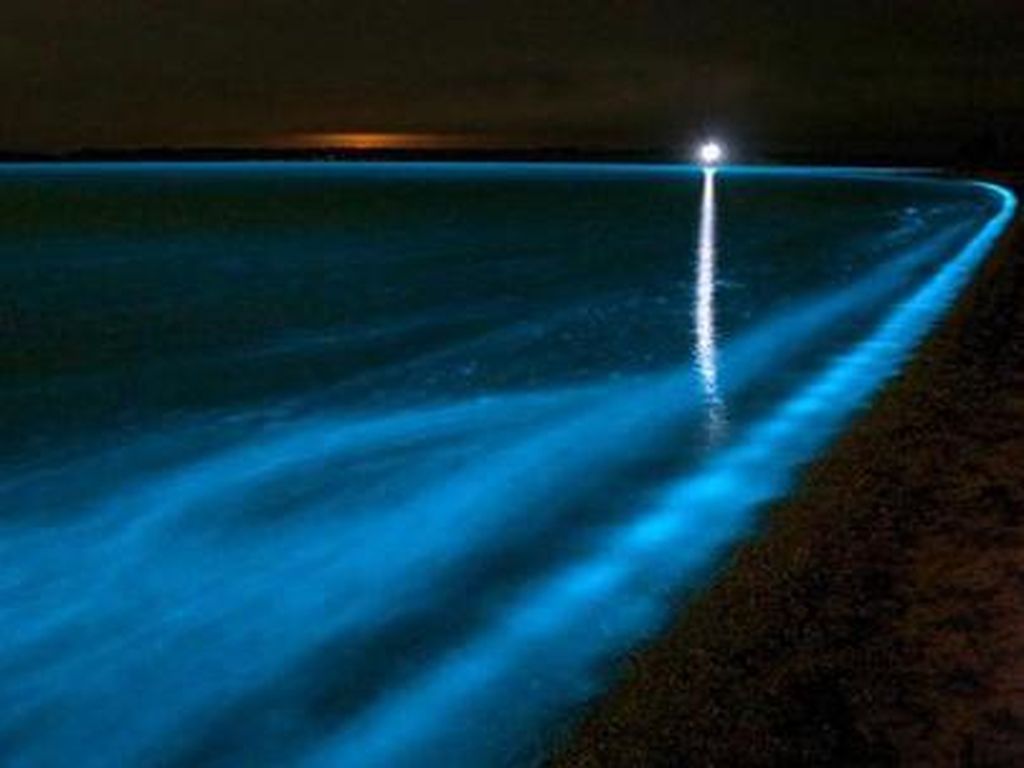 Ketika Laut Pantai Selatan Jawa Glowing Bercahaya Ketika Laut Pantai Selatan Jawa Glowing Bercahaya