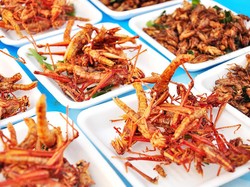 Populer Sebagai Sumber Protein Baru, Permintaan Serangga Terus Meningkat