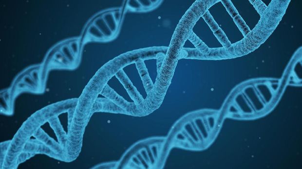 DNA Simpan Jejak Sejarah Manusia Sejak 180 Ribu Tahun Lalu