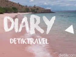 Diary detikTravel: Pengalaman Lihat Komodo Melahap Mangsa