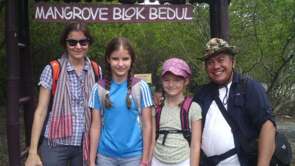 Saat Turis Bule Asyik Blusukan ke Hutan Mangrove Banyuwangi