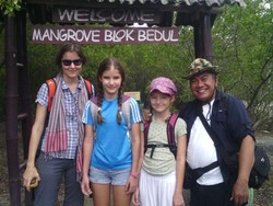 Hutan Blok Mangrove Bedul, Destinasi Favorit Turis di Banyuwangi