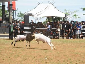 Pemkab Purwakarta Bangun Stadion Ketangkasan Hewan Rp 10 M