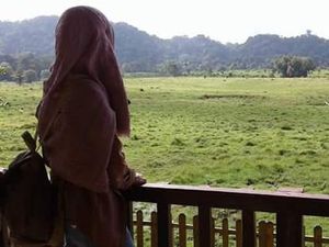 Ini Dia Aneka Spot Wisata Menarik di Blok Mangrove Bedul, Banyuwangi