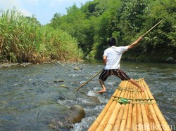 Arung Jeram Bambu di Pedalaman Kalimantan