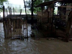 Banjir di Kabupaten Kuningan, Hewan Ternak Terbawa Arus Sungai