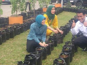 Gandeng Ibu PKK, Mentan Canangkan Gerakan Tanam Cabai di Jateng
