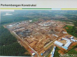 Beroperasi 2019, Berapa Harga Listrik PLTU Tabalong 2x100 MW?