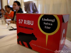 Warga Serahkan Beruang Madu Secara Sukarela ke BBKSDA Riau
