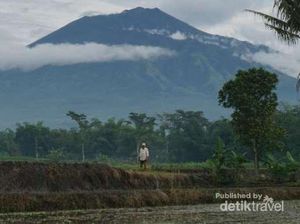 Banyak Jalur Pendakian di Jatim Ditutup karena Cuaca Ekstrem