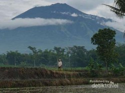 Jalur Pendakian Gunung Arjuno Ditutup akibat Cuaca Buruk