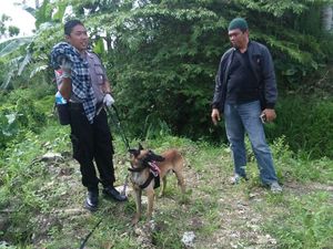2 Napi Kabur Masih di Nusakambangan, Anjing Pelacak Diturunkan 2 Napi Kabur Masih di Nusakambangan, Anjing Pelacak Diturunkan