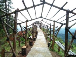 Agrowisata Ala Tana Toraja Ada di Pango-pango