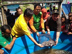 Ini Cara Warga Rusun Romo Kalisari Sejahterakan Hidup