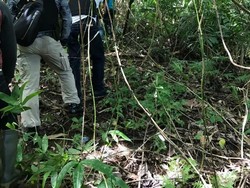 Sulitnya Menangkap Terpidana Narkoba yang Kabur dari Nusakambangan