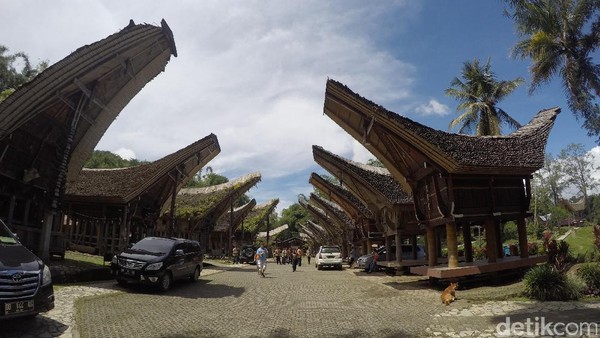 Jejeran tongkonan di Desa Kete Kesu (Bonauli/detikTravel) Jejeran tongkonan di Desa Kete Kesu (Bonauli/detikTravel)