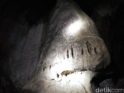 Unik! Batu Berbentuk Hidung dan Buaya dalam Gua Toraja