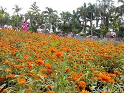 Nong Nooch Village, Taman Warna-warni di Thailand