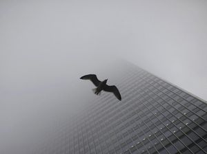 Kabut Dingin Selimuti Kota London