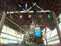 Ini Rumah Pohon, Tempat Bule Jerman dan Sumardin Merajut Asmara