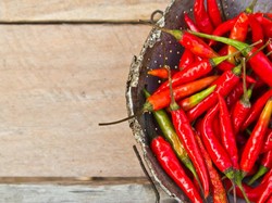 Harga Cabai Mahal? Ikuti Saja Cara Ini untuk Menanam Cabai!