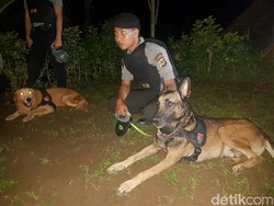 2 Anjing Pelacak Ikut Bantu Cari Tahanan Kabur di Hutan Sukabumi