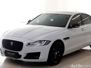 Penampakan Jagoan Baru Jaguar New XF 2.0 Black Jack