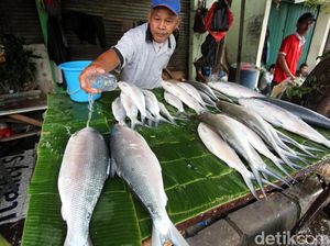 Makna Ikan Bandeng yang Identik dengan Perayaan Imlek Makna Ikan Bandeng yang Identik dengan Perayaan Imlek