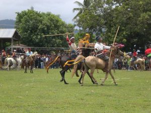 Pasola Lamboya di Sumba Barat Kembali Digelar 10 Februari