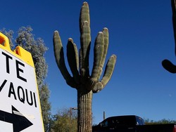 Ditegur Politikus Republik, Trump Yakin Ada Kecurangan Pilpres