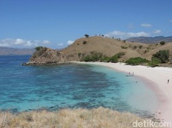 Selain Padar & Komodo, Valentino Rossi Juga ke Pantai Pink & Manta Point