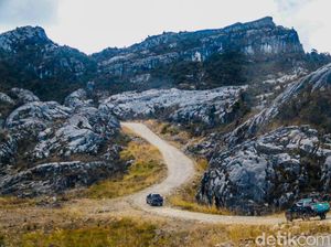 Jalan Trans Papua 3.995 Km Bakal Rampung di 2017 Jalan Trans Papua 3.995 Km Bakal Rampung di 2017