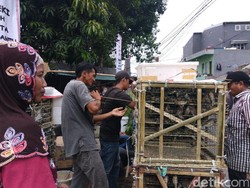 Omzet Penjual Burung Depan Vihara Petak Sembilan Naik 100 Persen