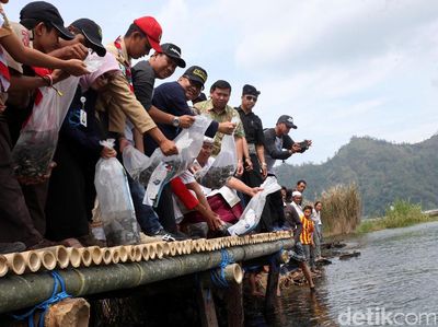 Menkop Tebar Benih Ikan di Danau Batur Bali
