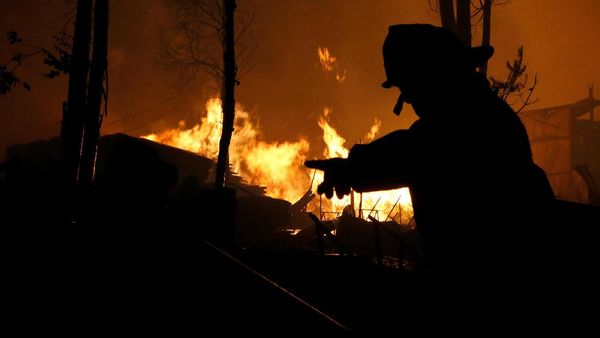 Berjibaku Padamkan Kebakaran Hutan di Chili