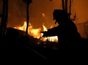 Berjibaku Padamkan Kebakaran Hutan di Chili