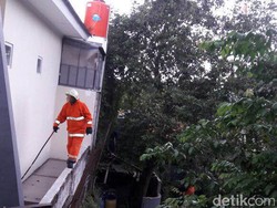 Kera Liar Masuk Permukiman Warga di Cijantung