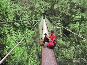 Dua Lagi Spot Menarik di Taman Nasional Gede Pangrango