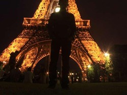 eiffel in the night (landmark of paris)