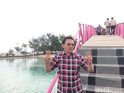 Sylviana Merasa Difitnah, Ahok: Ya Terserah