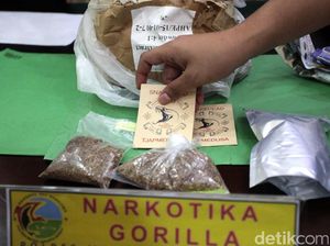 Bisnis Narkotika di RI Bikin Negara Rugi Hingga Rp 63 Triliun/Tahun