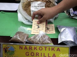 Bisnis Narkotika di RI Bikin Negara Rugi Hingga Rp 63 Triliun/Tahun