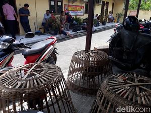 Rumah Judi Sabung Ayam Digerebek, 10 Orang Diamankan