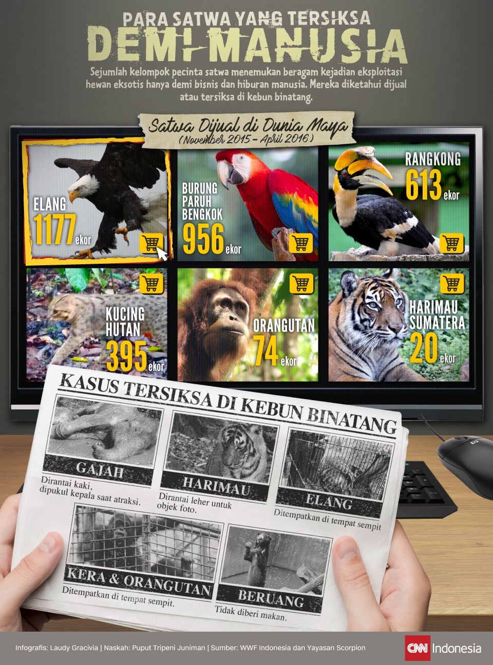 Infografis Para Satwa yang Tersiksa demi Manusia