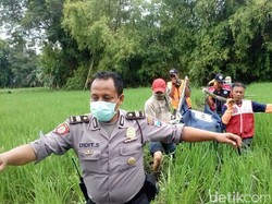 Tiga Hari Menghilang, Seorang Kakek Ditemukan Tewas di Sawah