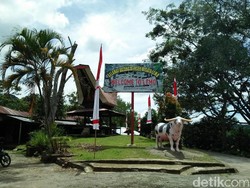 Wisata Mistis Tapi Instagenic, Makam Tebing Toraja