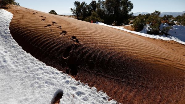 Begini Penampakan Gurun Sahara yang Diselimuti Salju