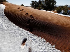 Begini Penampakan Gurun Sahara yang Diselimuti Salju