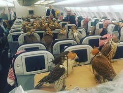 Wuih! Pangeran Arab Saudi Beli Tiket Pesawat untuk 80 Ekor Elang